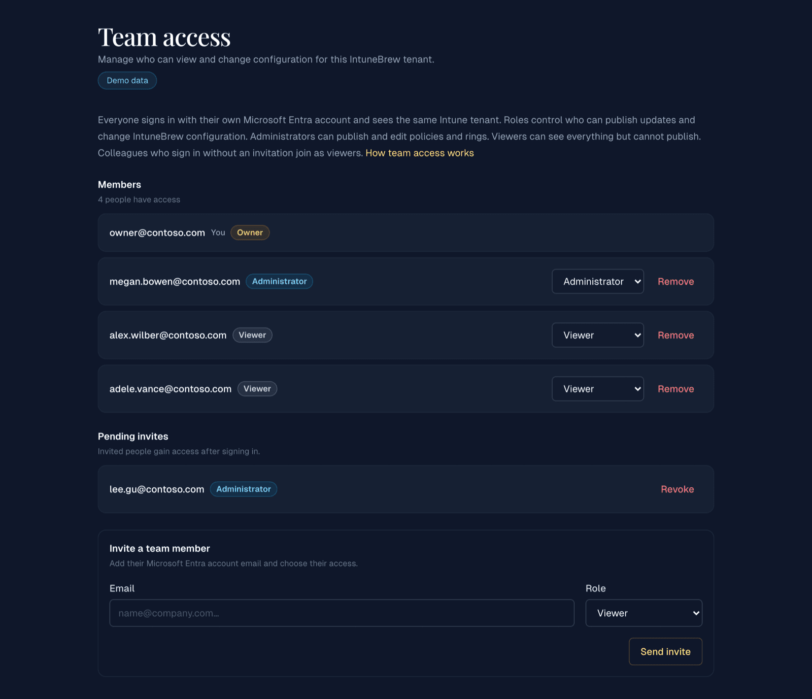 The Team page as an owner sees it
